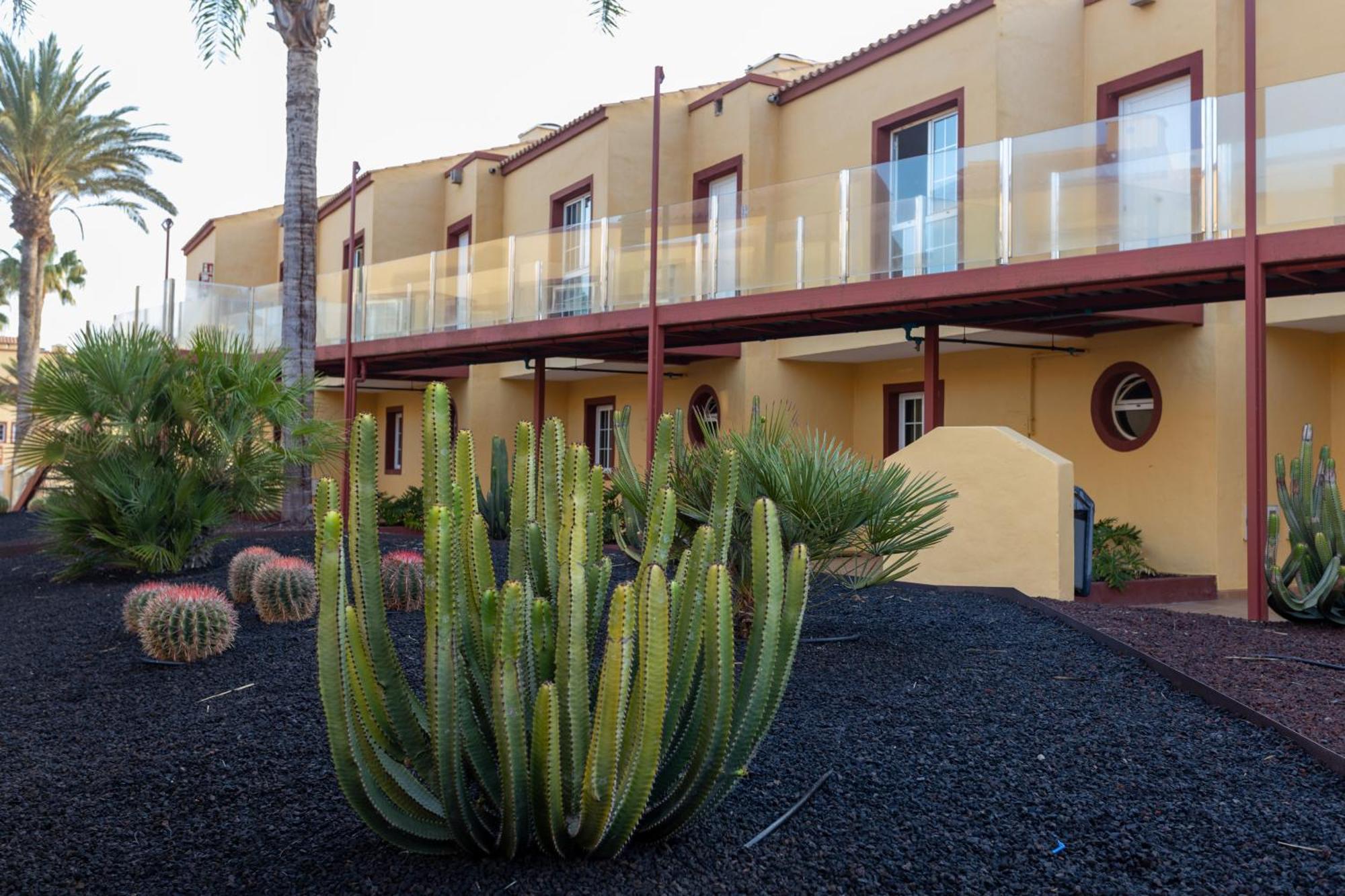 Apartamentos Maxorata Beach Corralejo Ngoại thất bức ảnh